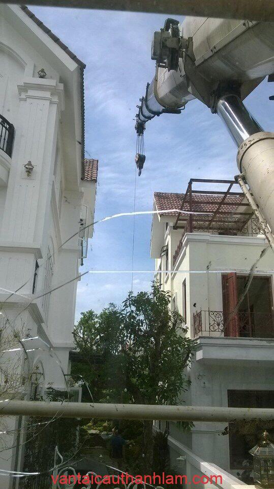 cẩu cây tại vinhom-longbien